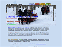 Tablet Screenshot of blackhorsellc.com